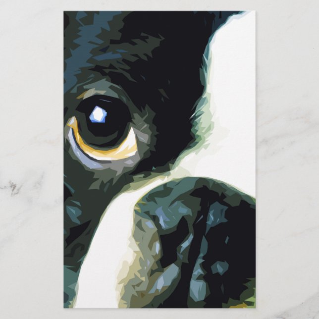 moderne Großstadt Boston Terrier (Vorderseite)