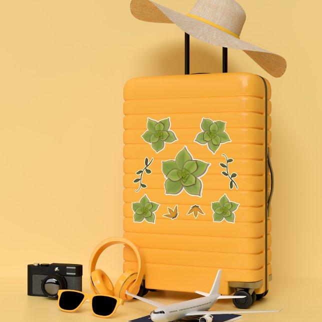 Moderne grüne Echeveria handGezeichnet Sukkulent Aufkleber (Von Creator hochgeladen)