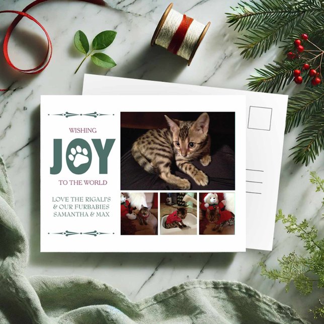 Moderne grüne Weihnachtskarten Postkarte (Pet photo Christmas postcards by VG Invites features 1 large photo and 3 small photos)
