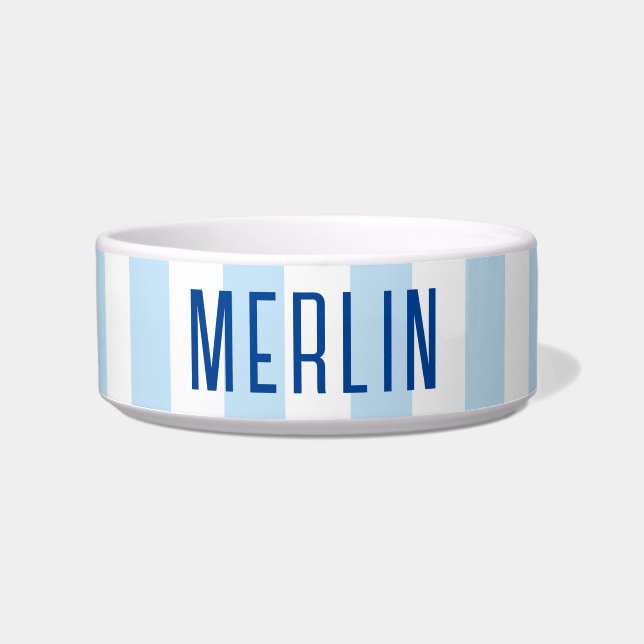 Moderne hellblaue und weiße Streifen Name Napf (Vorderseite)