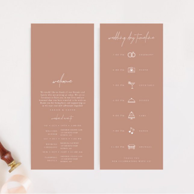 Moderne Hochzeitstagszeitachse mit einfachem Rosa (Simple Blush Pink Modern Wedding Day Timeline)