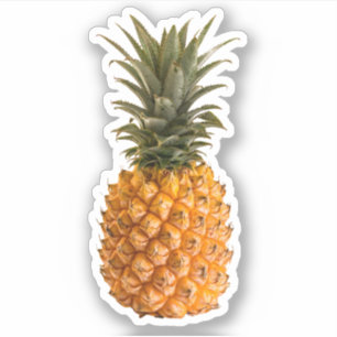 Moderne hübsche Ananas Aufkleber