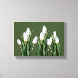 Moderne, hübsche Tulpe mit wunderschönem Grün Leinwanddruck