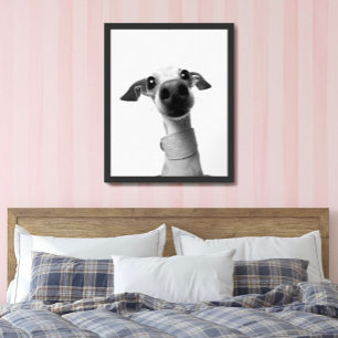 Moderne individuelle Tierfotos Meeko Large Poster