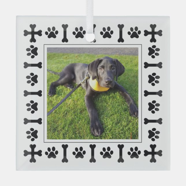 Moderne Labrador Retriever Hunde & Liebe Paws Ornament Aus Glas (Vorderseite)