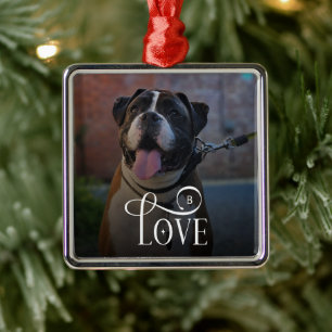Moderne Liebe Individuelle Hunde-Fotos Monogramm Ornament Aus Metall