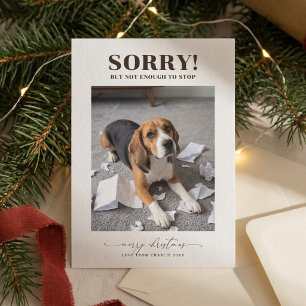 Moderne lustige Hunde-Foto-Weihnachtskarte Feiertagskarte