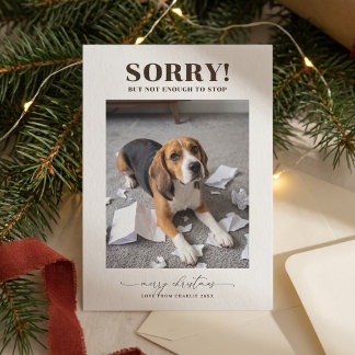 Moderne lustige Hunde-Foto-Weihnachtskarte Feiertagskarte