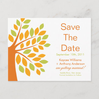 Moderne Mandarine Tree Save the Date POST CARD! Ankündigungspostkarte