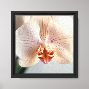 Moderne minimalistische elegante Blumengestaltung Leinwanddruck