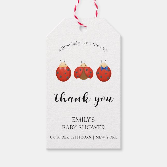 Moderne Minimalistische Ladybug-Kinderdusche Geschenkanhänger (Vorderseite)