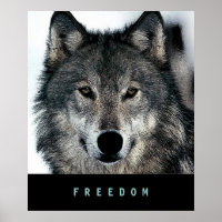 Moderne Motivierend Freiheit Wolf Poster Print