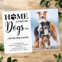 Moderne neue Adresse Benutzerdefiniertes Foto Hund