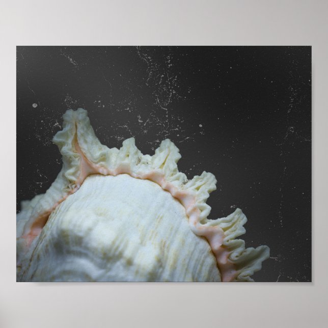 Moderne neutrale tropische Seashell Printable Art Poster (Vorne)