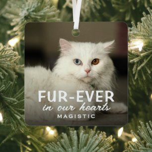 Moderne niedliche Fotokatze Erinnerungsandenken Ornament Aus Metall