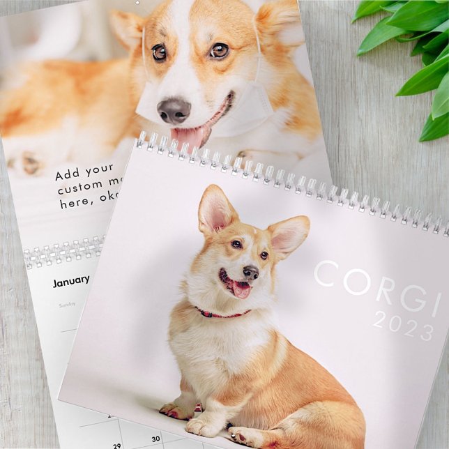 Moderne Niedliche Funny Corgi Dogs Fotos Kalender (Von Creator hochgeladen)