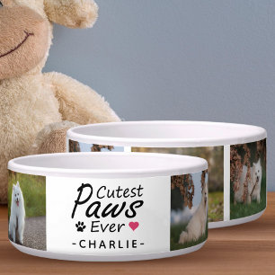Moderne Niedliche Paws je Familie Hundfoto Collage Napf