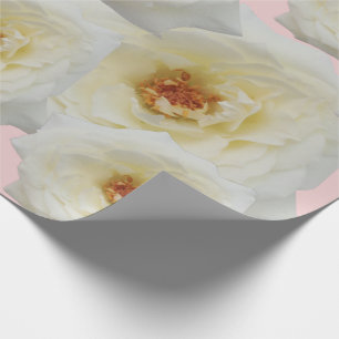 Moderne niedliche Rosen für ihren rosa Hintergrund Geschenkpapier