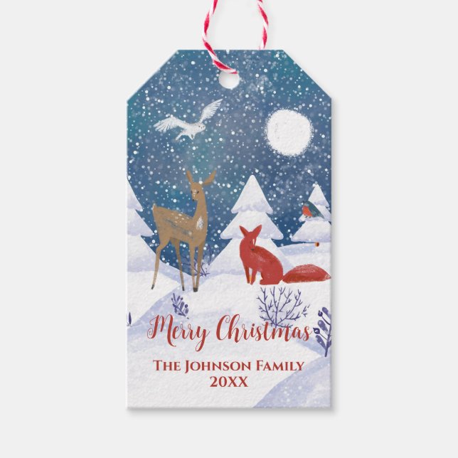 Moderne nordische Winterschneegebiete Geschenkanhänger (Vorderseite)