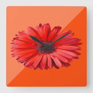 Moderne Orange Daisy Botanica Quadratische Wanduhr