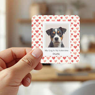 Moderne personalisierte Hunde Valentinstag-Aufkleb Quadratischer Aufkleber