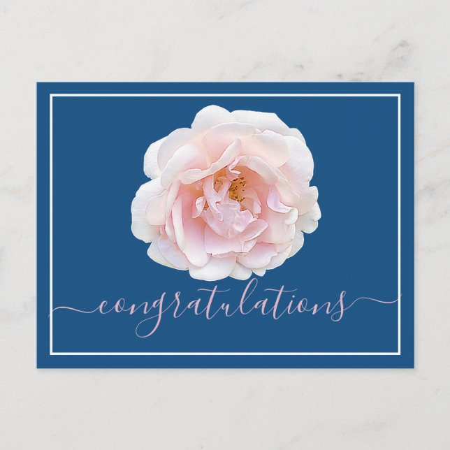 Moderne rosa Rose Botanical Chic Glückwünsche Postkarte (Vorderseite)