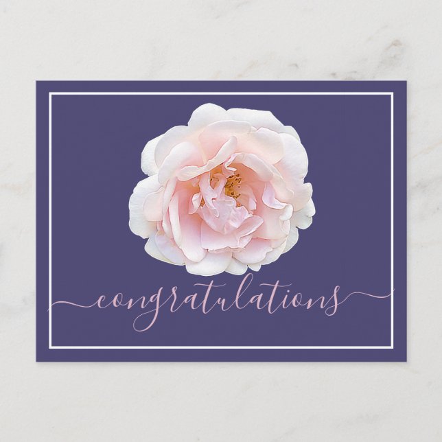 Moderne rosa Rose Botanical Chic Gratulation Postkarte (Vorderseite)