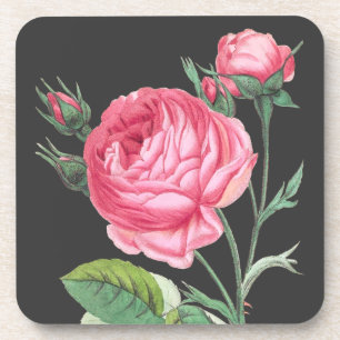 Moderne rosa Rosenblüten Getränkeuntersetzer