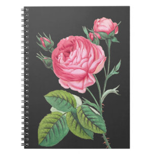 Moderne rosa Rosenblüten Notizblock