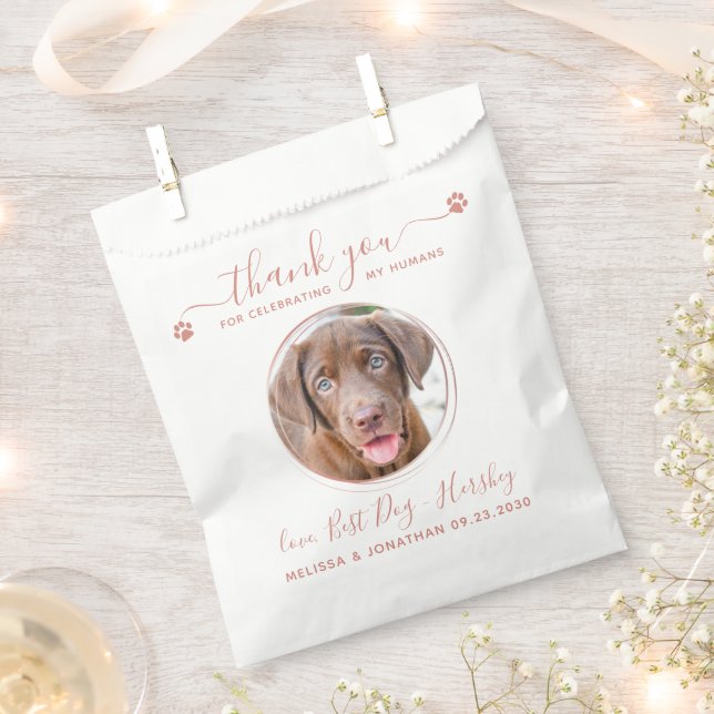 Moderne Rose Gold Danke, dass ihr Hund Foto Hausti Geschenktütchen (Ausgeschnitten)