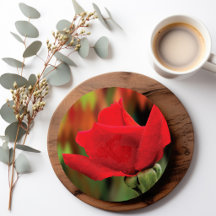 Moderne rote Rose Botanik