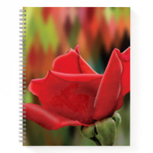 Moderne rote Rosen-Hochpoly-Hardcover-Journal