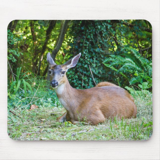 Moderne Ruhephase Mousepad (Vorne)