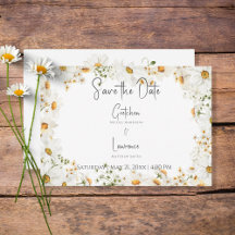 Moderne rustikale Daisy-Rahmen-Hochzeit
