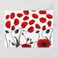 Moderne Schwarz-Rot-Blume und Petalen