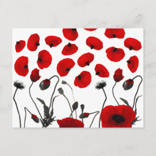 Moderne Schwarz-Rot-Blume und Petalen Postkarte