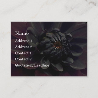 Moderne schwarze Dahlie-mit BlumenBlume Visitenkarte