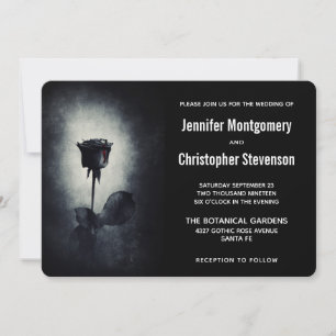 Moderne Schwarze Rose-Driving Blood Petal Wedding Einladung