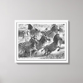 Moderne Schwarzweiß-Fotografie Kunst Zebra Leinwanddruck
