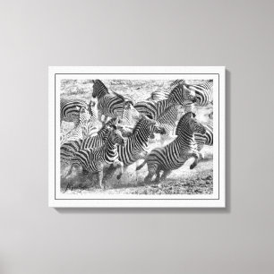Moderne Schwarzweiß-Fotografie Kunst Zebra Leinwanddruck