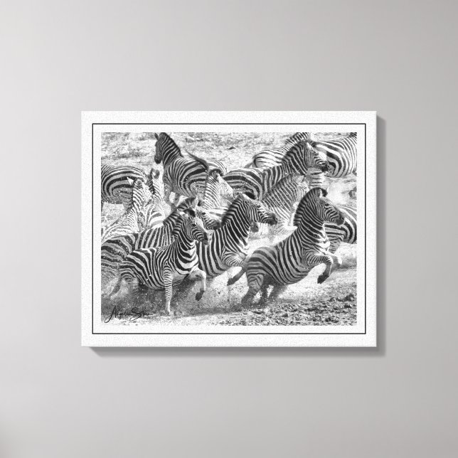 Moderne Schwarzweiß-Fotografie Kunst Zebra Leinwanddruck (Vorderseite)