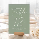 Moderne Script Sage Green Wedding Tischnummer Card<br><div class="desc">Einfache, moderne Hochzeitskarten mit "Tischnummer", die in einem handgeschriebenen, weißen Script mit einem sage-grünen Hintergrund (oder einer Farbe Ihrer Wahl) angezeigt werden. Um die sage grünen Hochzeitskarten zu bestellen: Fügen Sie Ihren Namen, das Hochzeitsdatum und die Tischnummer hinzu. Jede Nummer muss individuell in Ihren Warenkorb aufgenommen werden. Nachdem Sie alle...</div>