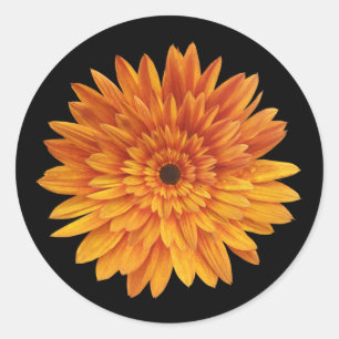 moderne Sonnenblumen-Blumen Runder Aufkleber