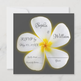 Moderne Square White Plumeria Blume, UAWG Einladung