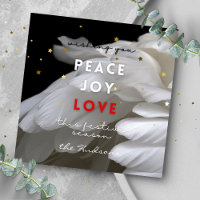 Moderne Star Peace Joy Liebe Feathers Weihnachten