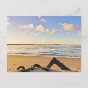 Moderne Strandlandschaft Natur Postkarte
