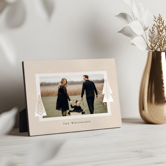 Moderne Stripe Frame Evergreen Weihnachtsbaum Foto Fotoplatte (Modern Stripe Frame Evergreen Christmas Tree Photo)