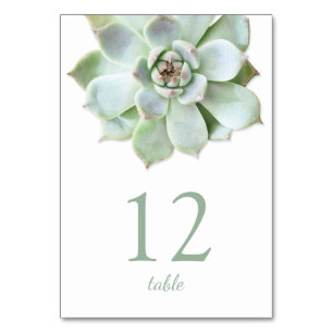 Moderne Sukkulente Hochzeitsstiftung Tischnummer