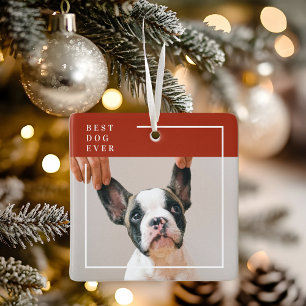 Moderne Terrakotta-Rot-Bester-Hund-aller-Zeiten-Fo Keramikornament