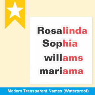 Moderne transparente wasserfeste Namensaufkleber Aufkleber